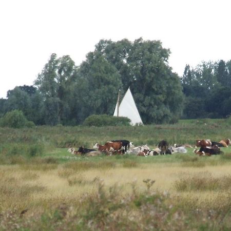 Charming Woodland Lodge 2 Person 1 Bedroom Great Yarmouth Exteriér fotografie